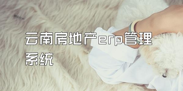 云南房地产erp管理系统
