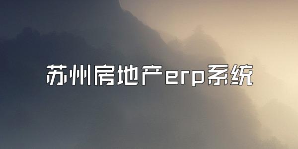 苏州房地产erp系统
