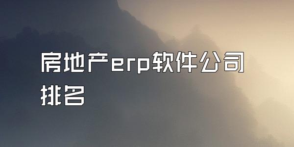 房地产erp软件公司排名