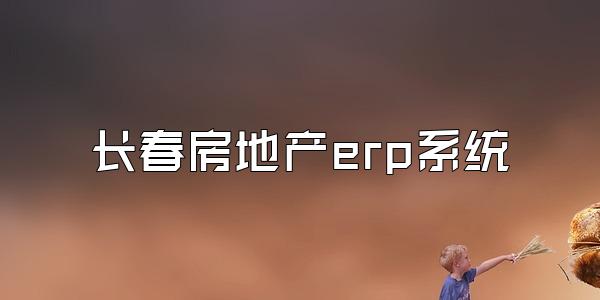 长春房地产erp系统