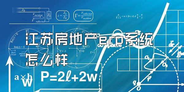 江苏房地产erp系统怎么样