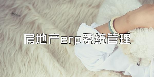 房地产erp系统管理