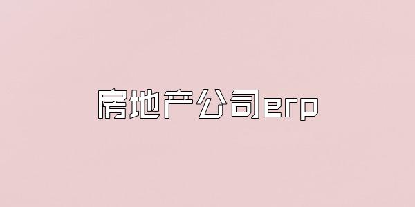 房地产公司erp