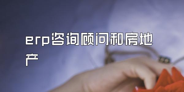 erp咨询顾问和房地产
