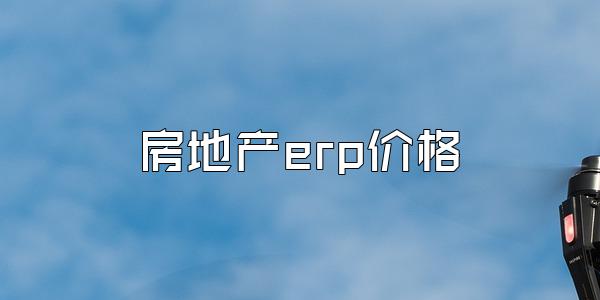 房地产erp价格