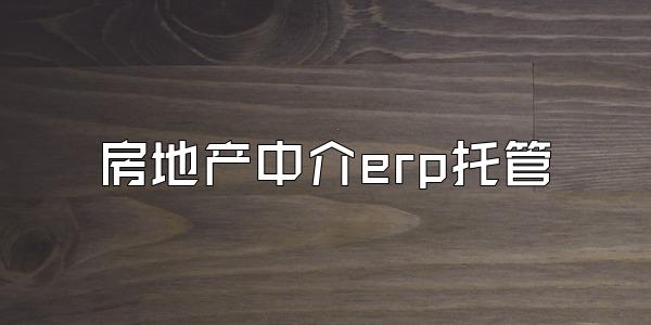 房地产中介erp托管