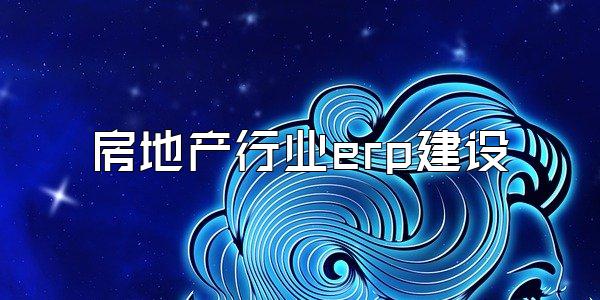 房地产行业erp建设