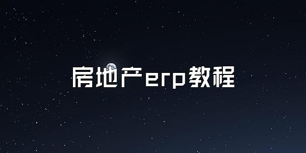 房地产erp教程
