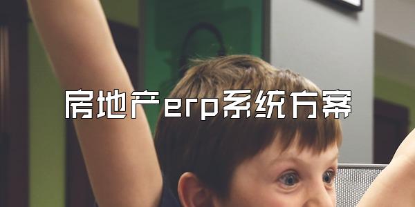 房地产erp系统方案