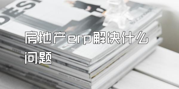 房地产erp解决什么问题