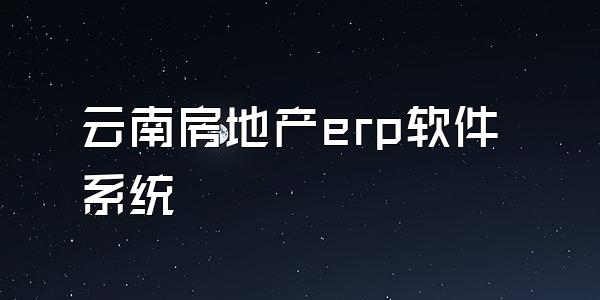 云南房地产erp软件系统