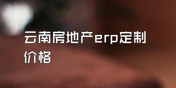 云南房地产erp定制价格