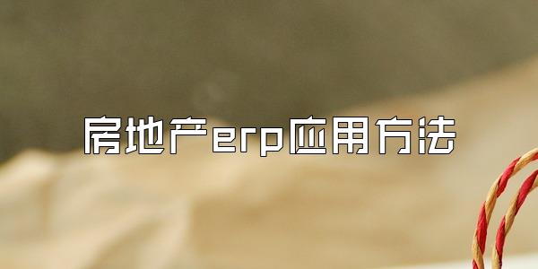 房地产erp应用方法