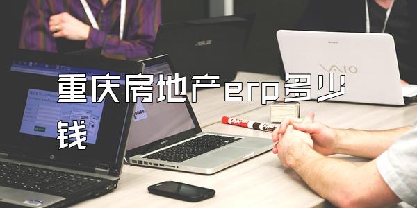 重庆房地产erp多少钱