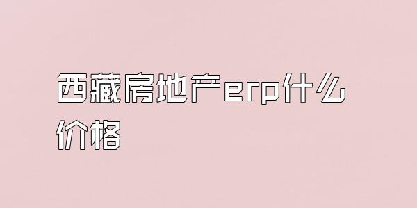 西藏房地产erp什么价格