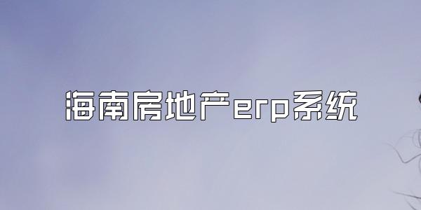 海南房地产erp系统