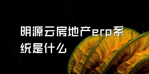 明源云房地产erp系统是什么