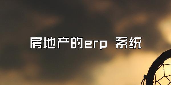 房地产的erp 系统