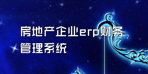 房地产企业erp财务管理系统