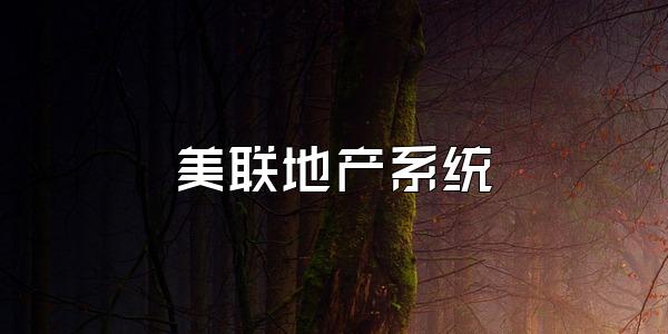 美联地产系统