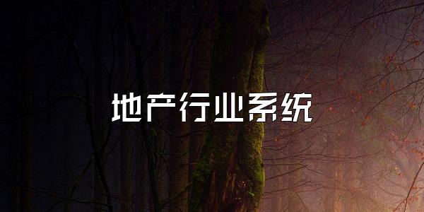 地产行业系统