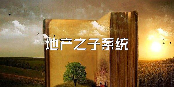 地产之子系统