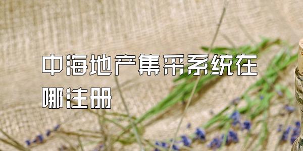 中海地产集采系统在哪注册