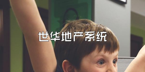 世华地产系统