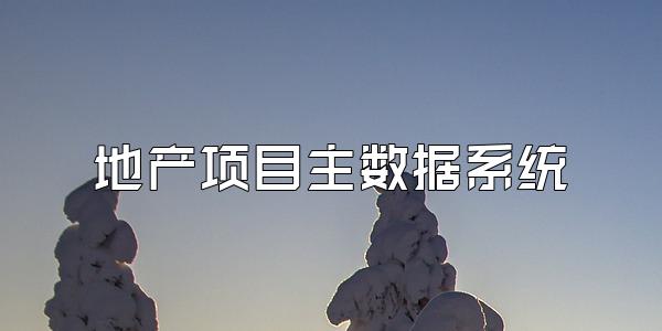 地产项目主数据系统