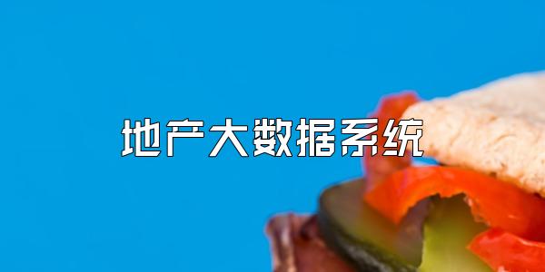 地产大数据系统