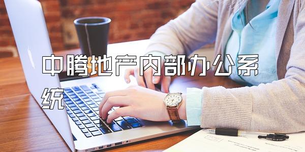 中腾地产内部办公系统