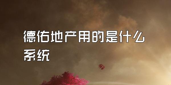 德佑地产用的是什么系统