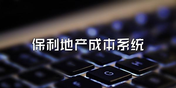 保利地产成本系统