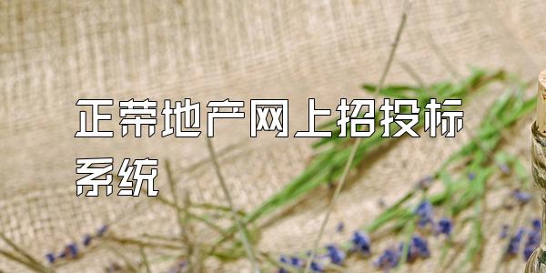 正荣地产网上招投标系统