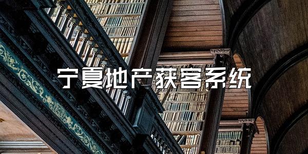 宁夏地产获客系统