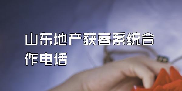 山东地产获客系统合作电话