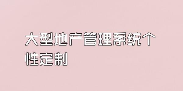 大型地产管理系统个性定制