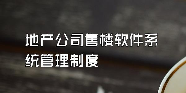 地产公司售楼软件系统管理制度