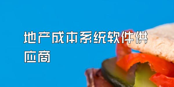 地产成本系统软件供应商