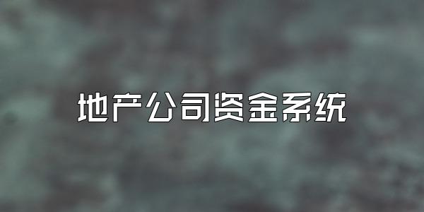 地产公司资金系统