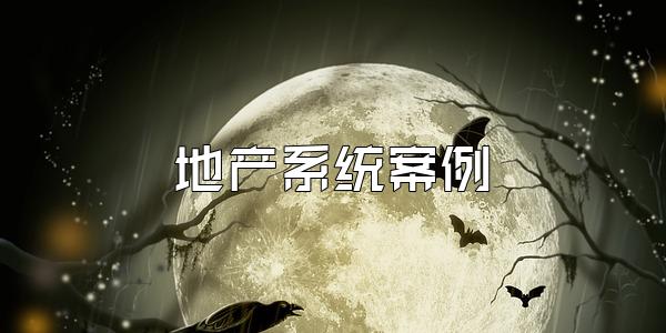 地产系统案例