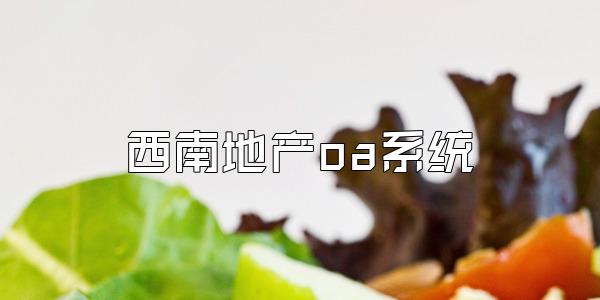 西南地产oa系统