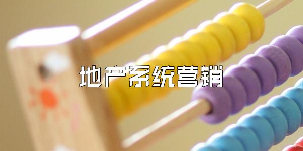 地产系统营销