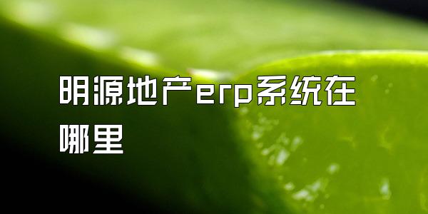 明源地产erp系统在哪里