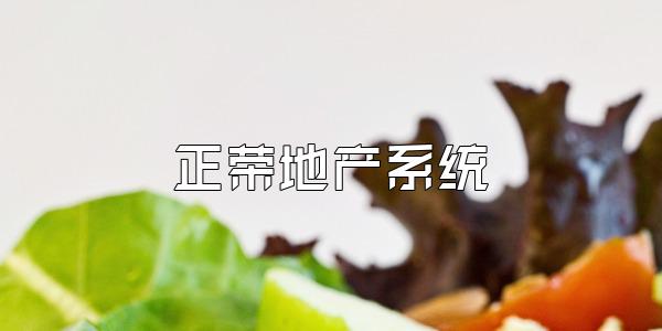 正荣地产系统