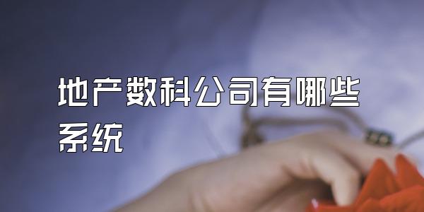 地产数科公司有哪些系统