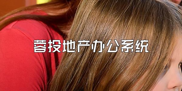蓉投地产办公系统