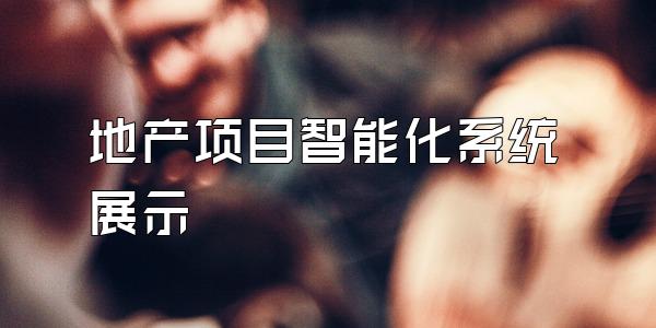 地产项目智能化系统展示