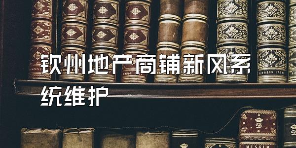 钦州地产商铺新风系统维护