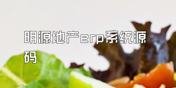 明源地产erp系统源码